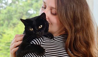 Kidney stones in cats - Symptoms & Treatment | Petplan