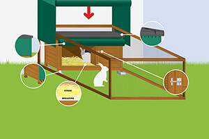 How to keep rabbits warm in the winter Rabbits in winter Petplan