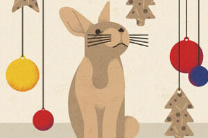 Christmas treats for Rabbits