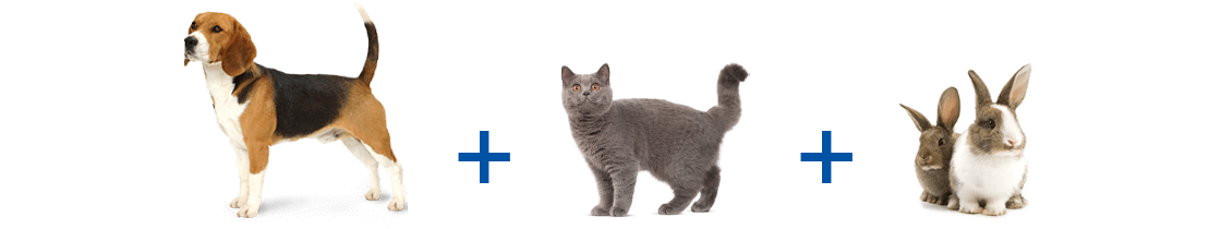 A beagle, a grey cat, and two rabbits are shown with plus signs between them, representing multiple pets.