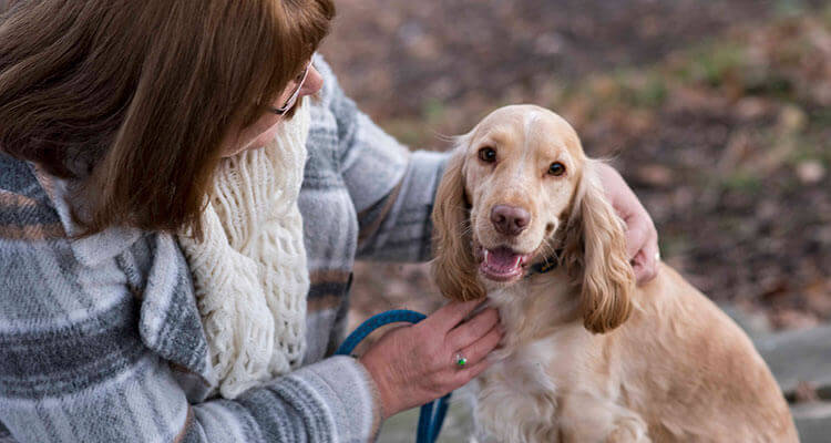 Brown haired woman crouching down facing her dog, and her dog facing forwards