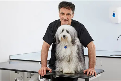 Noel Fitzpatrick, the supervet, standing behind a dog on an examining table