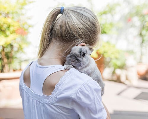 A young person with blonde hair holding a small, fluffy grey rabbit on their shoulder.