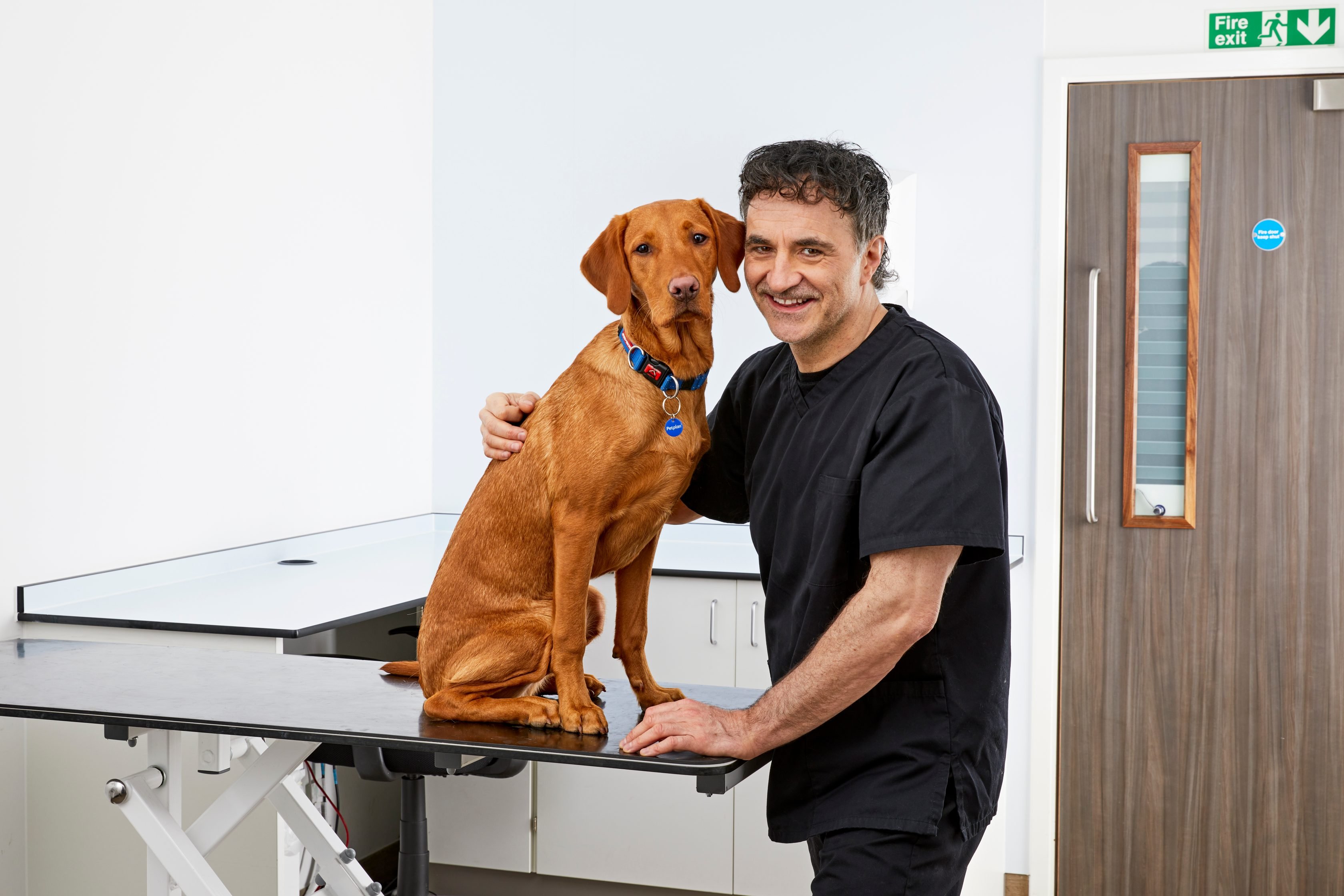 Veterinarian Noel Fitzpatrick smiling and holding a brown dog on an examination table.