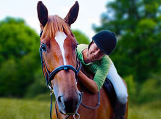 A person in a riding helmet leans against a brown horse's neck in a field.