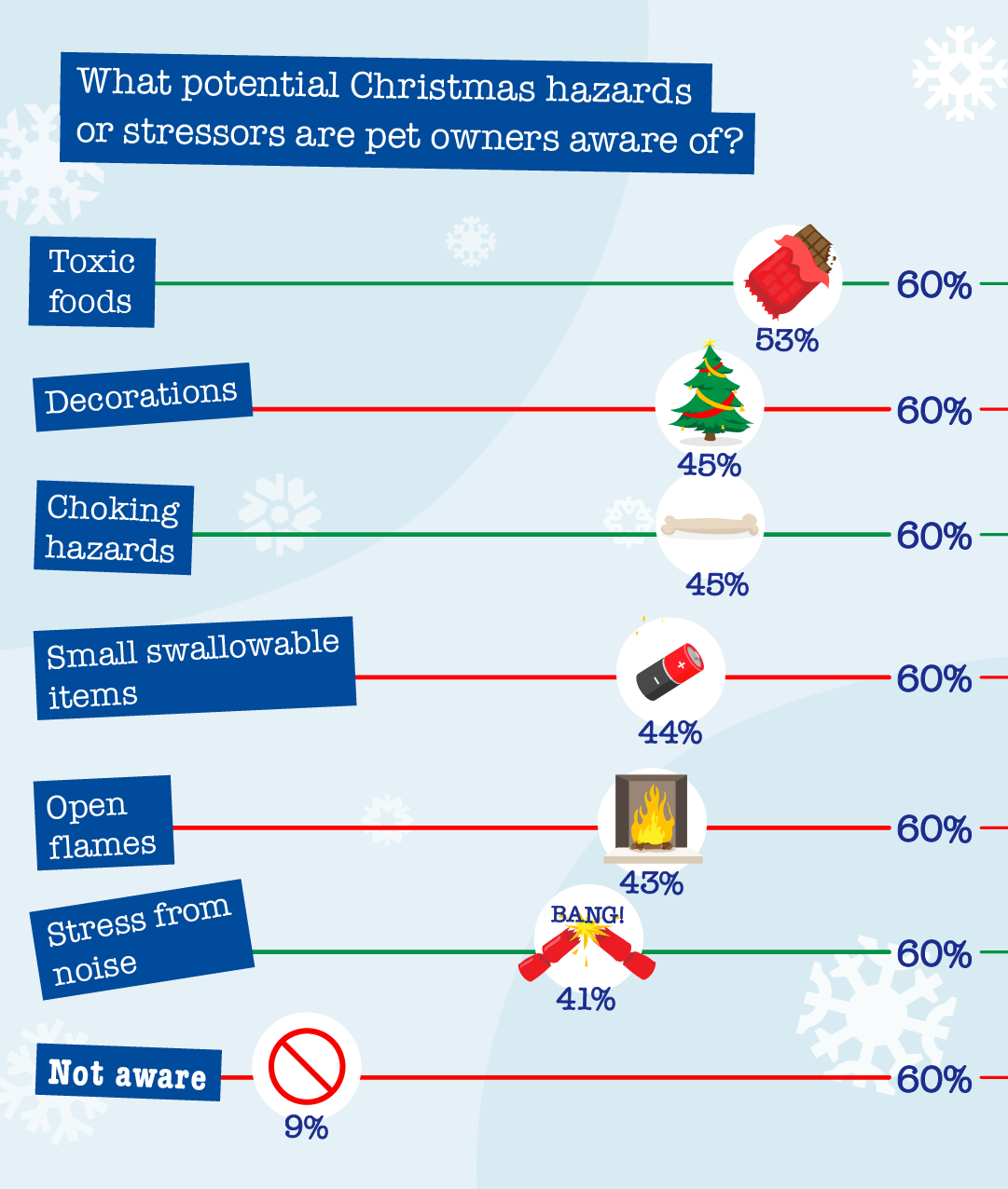 Potential christmas hazards