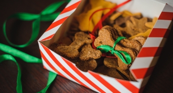 christmas dog treats