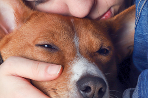 Coping with the death of a family pet