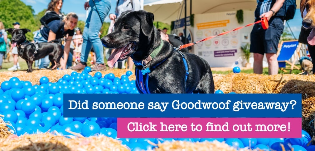 click here to find out more about goodwoof giveaway call to action