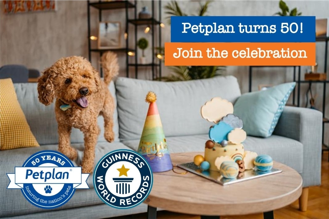 petplan turns 50