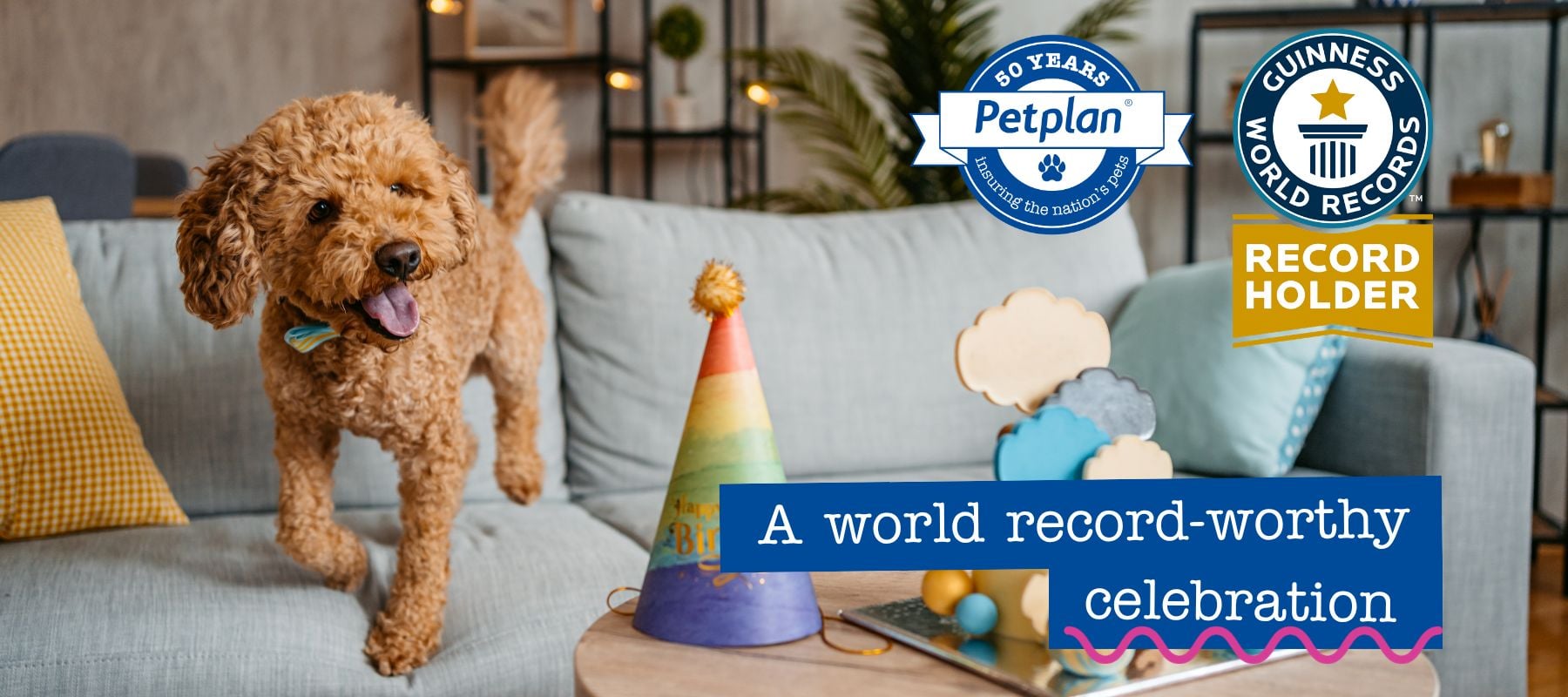 petplan turns 50
