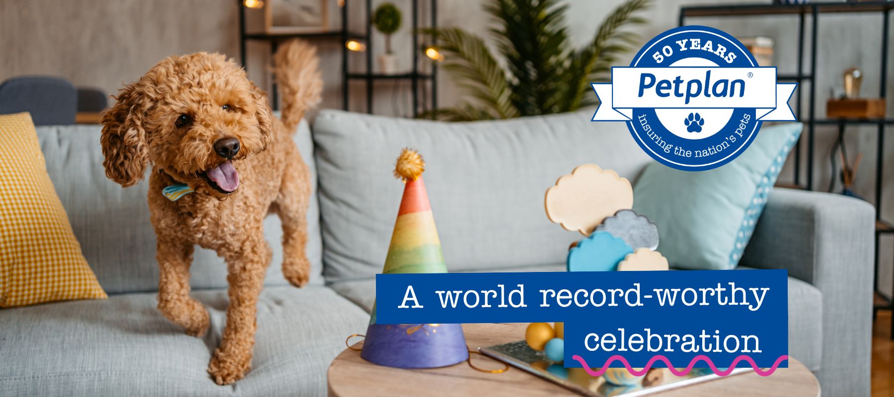 petplan turns 50