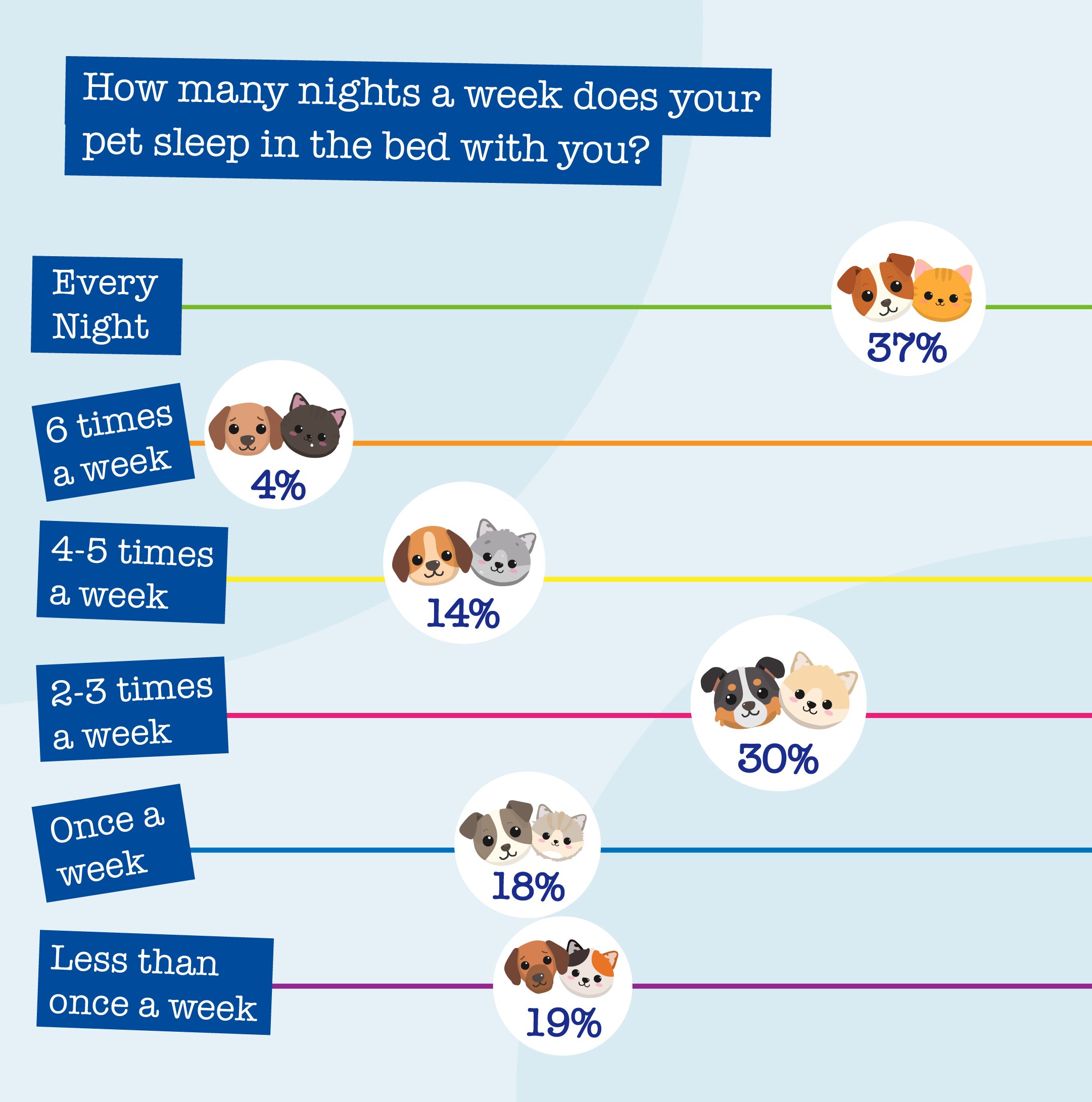 a graphic demonstrating how many nights a week pets sleep in their owners beds