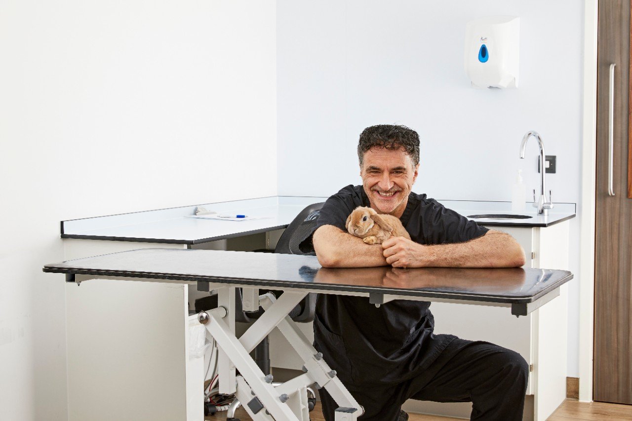 Noel Fitzpatrick, the supervet, holding a brown rabbit on an examining table
