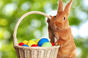 An orange rabbit standing next to a wicker basket filled with colorful Easter eggs.