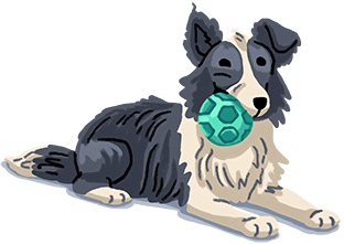 Dog-image